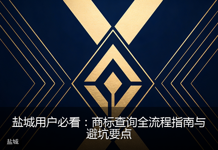 盐城用户必看：商标查询全流程指南与避坑要点